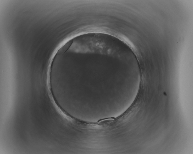 X0000111441528200908101004