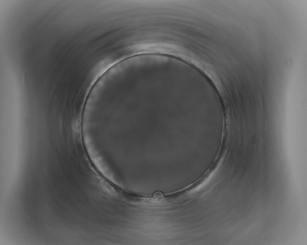 X0000111441529200908101004