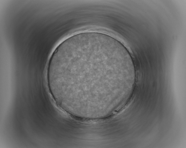 X0000111441530200908101004