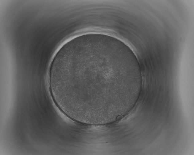 X0000111441531200908101004