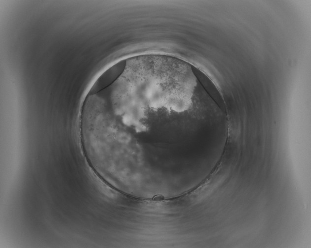 X0000111441532200908101004