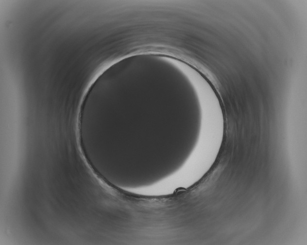 X0000111441533200908101004