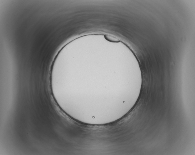 X0000111441534200908101004