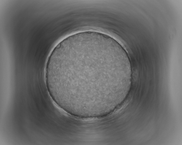 X0000111441535200908101004