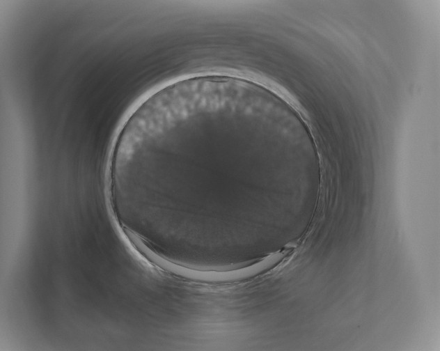 X0000111441536200908101004