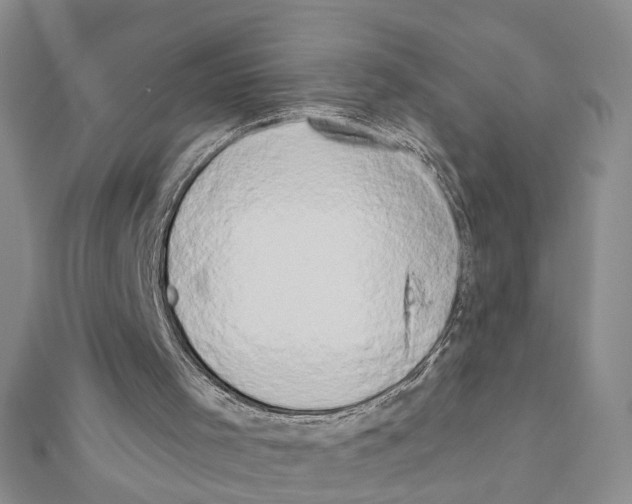 X0000111440001200908241154
