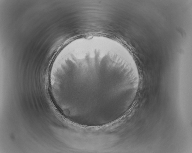 X0000111440002200908241154