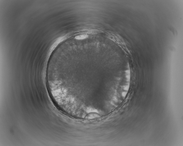 X0000111440003200908241154