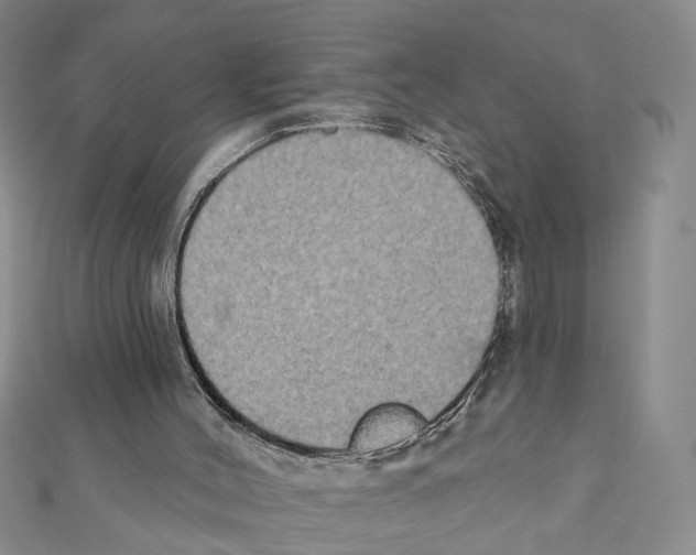 X0000111440004200908241154