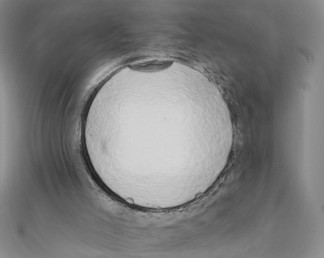 X0000111440005200908241154