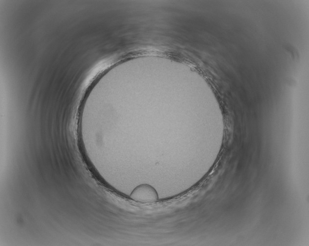 X0000111440006200908241154