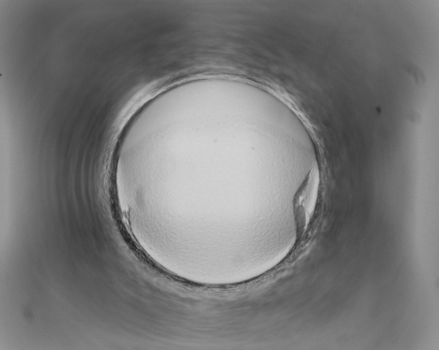 X0000111440007200908241154