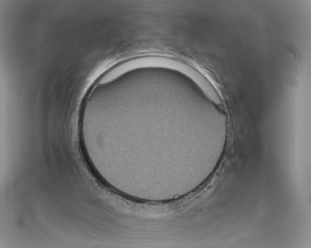 X0000111440008200908241154