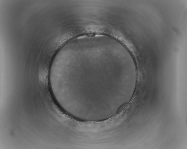 X0000111440009200908241154
