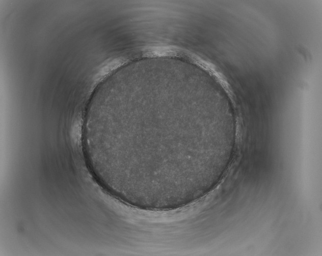 X0000111440010200908241154