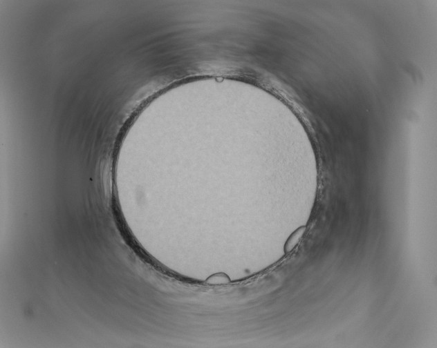 X0000111440011200908241154