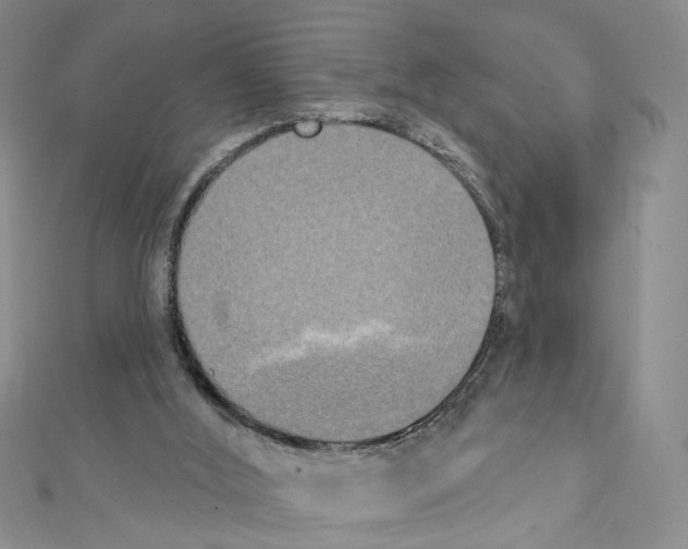 X0000111440012200908241154