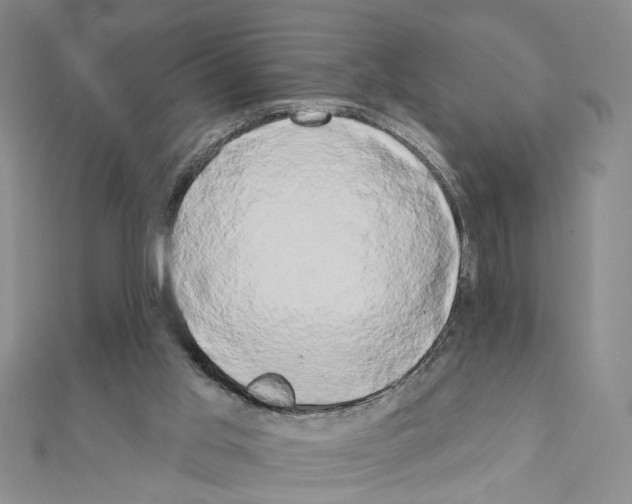 X0000111440013200908241154