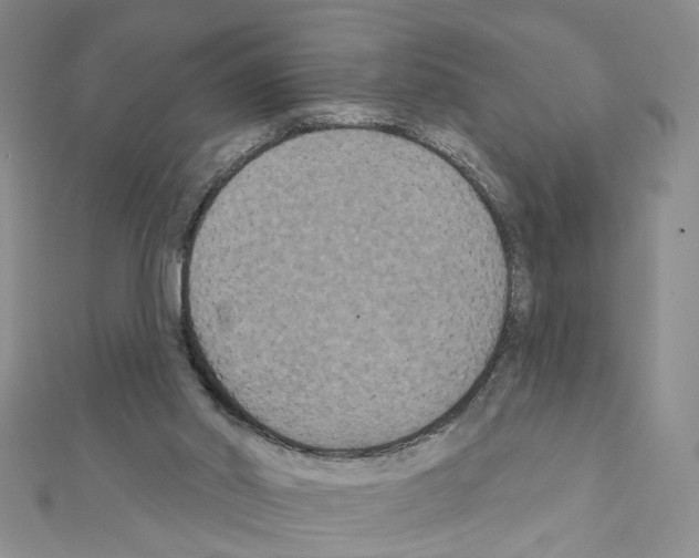 X0000111440014200908241154