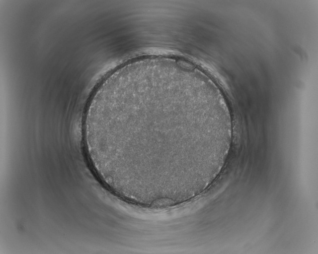 X0000111440015200908241154