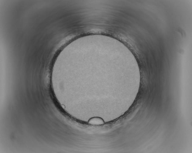 X0000111440016200908241154