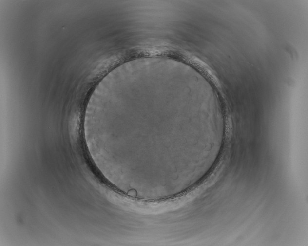 X0000111440018200908241153