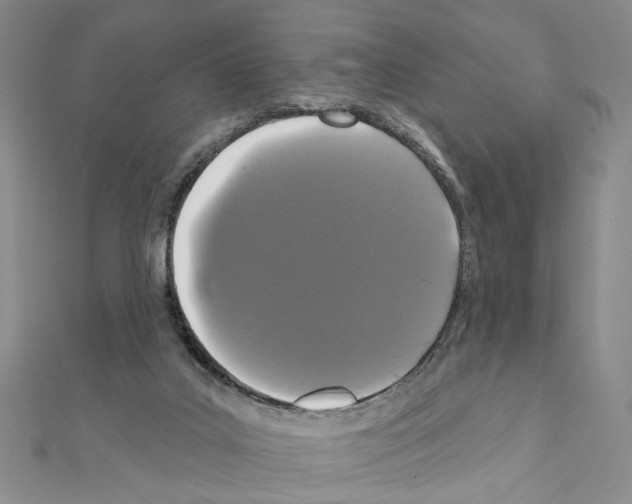 X0000111440019200908241153