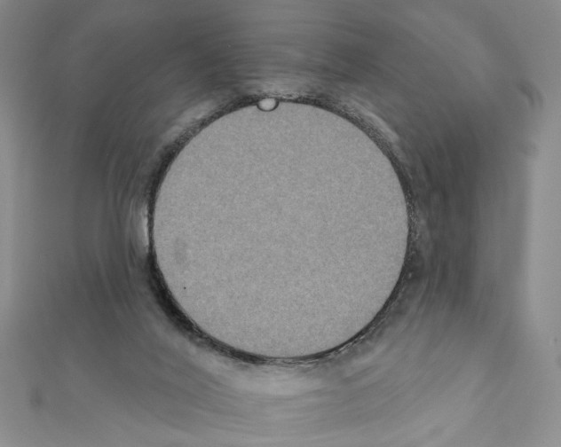 X0000111440020200908241153