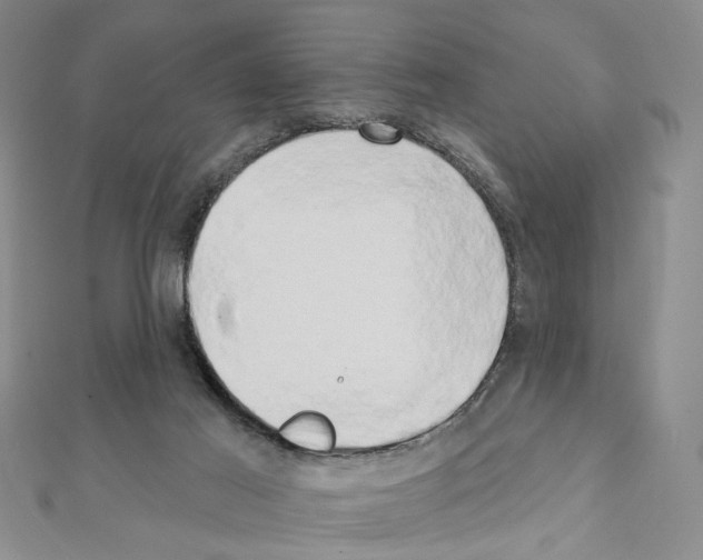 X0000111440021200908241153
