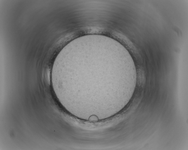 X0000111440022200908241153