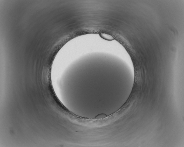 X0000111440023200908241153