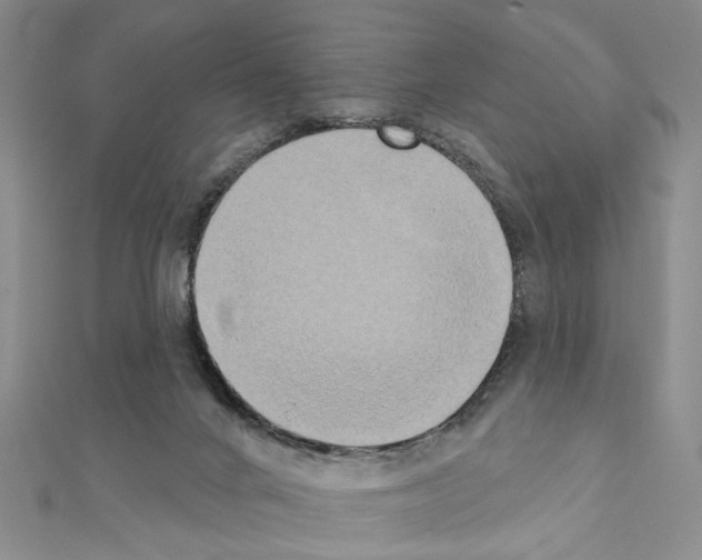 X0000111440024200908241153
