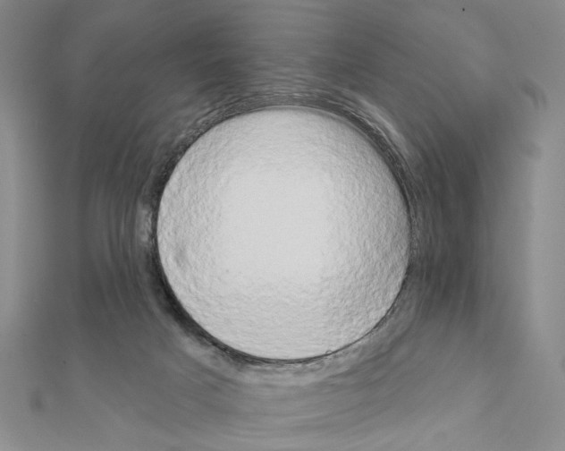 X0000111440025200908241153