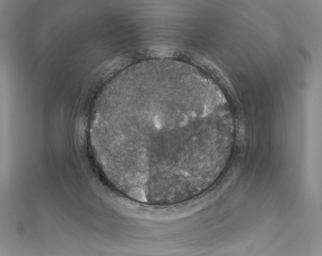 X0000111440026200908241153