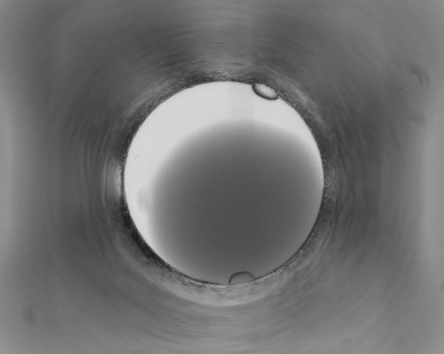 X0000111440027200908241153