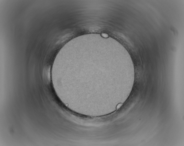 X0000111440028200908241153