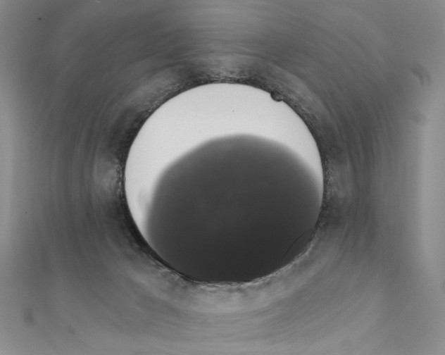 X0000111440029200908241153
