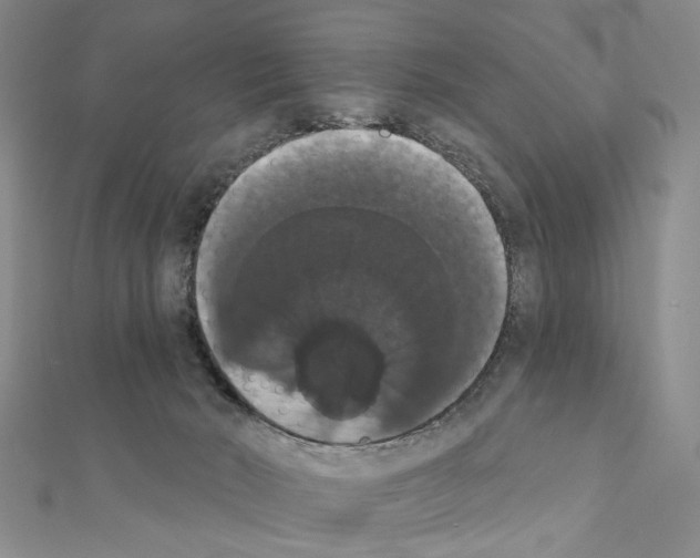 X0000111440030200908241153