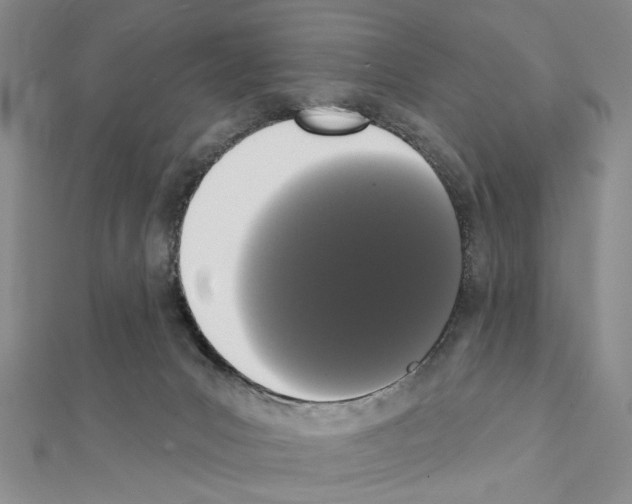 X0000111440031200908241153