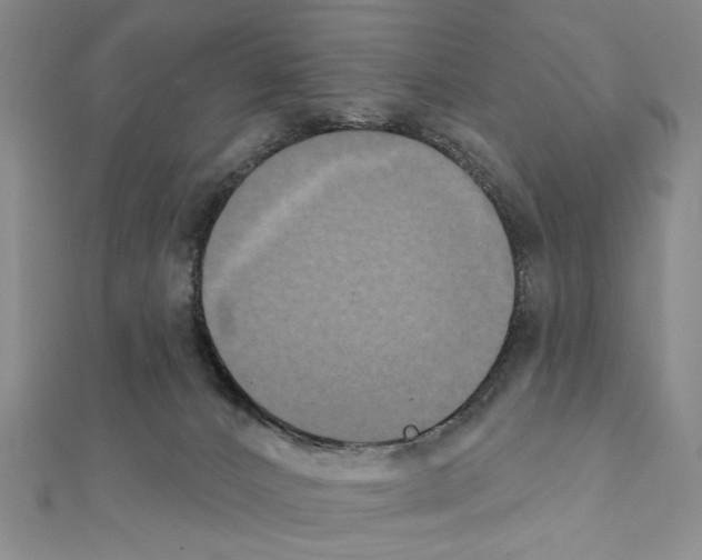 X0000111440032200908241153