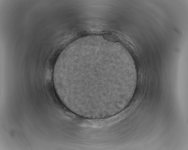X0000111440033200908241153