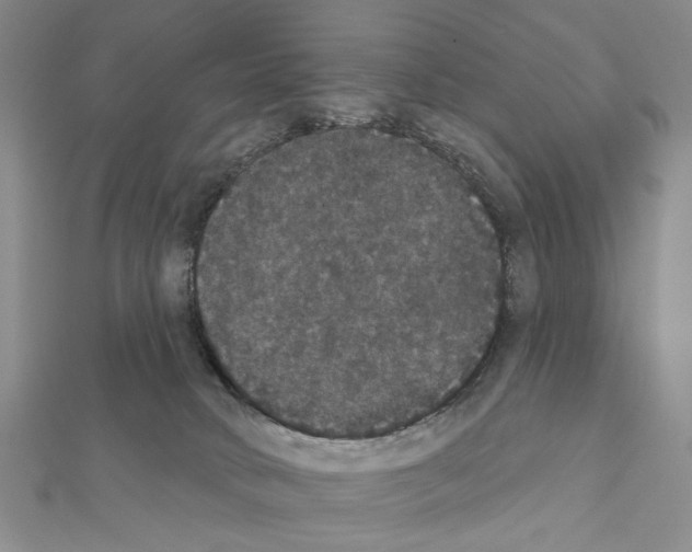 X0000111440034200908241153