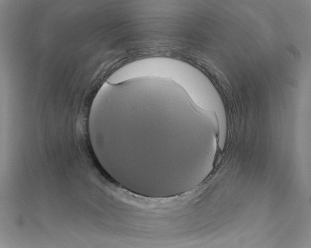 X0000111440035200908241153