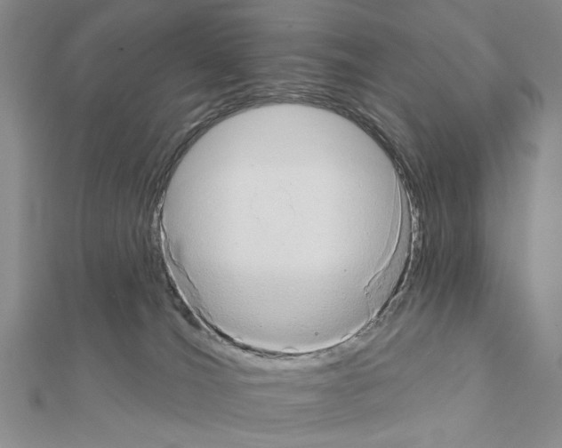 X0000111440036200908241153
