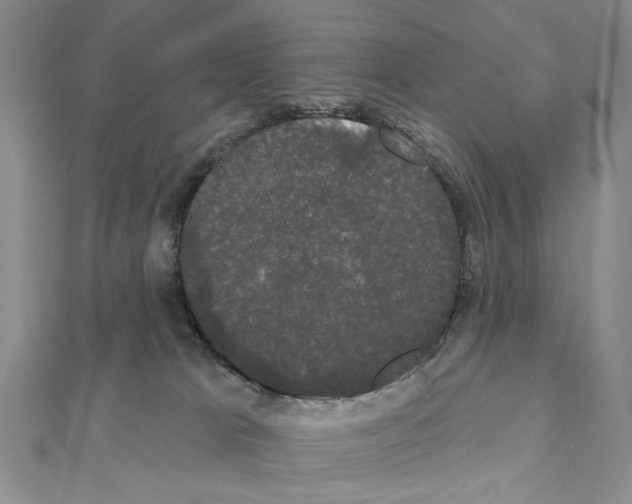 X0000111440037200908241153