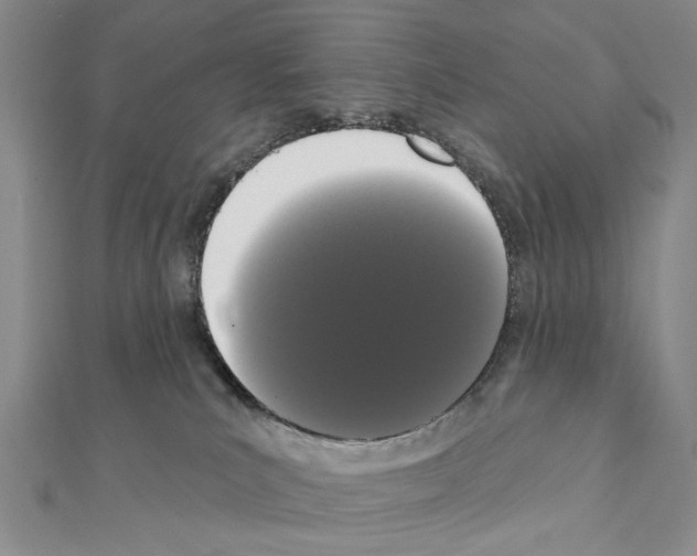 X0000111440039200908241153