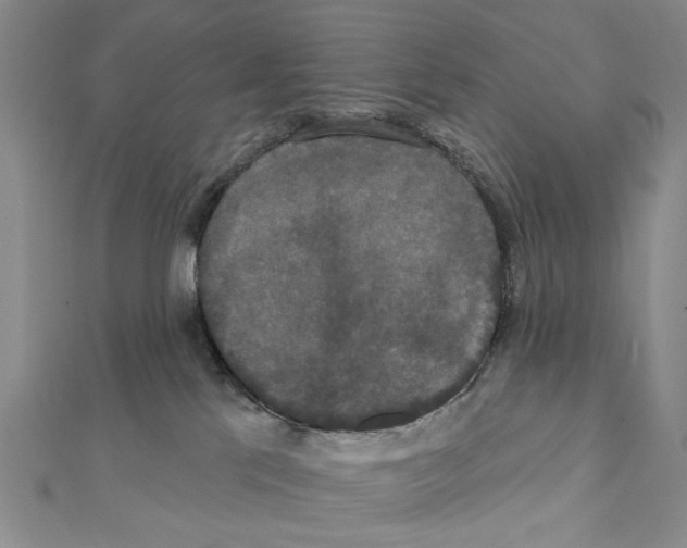 X0000111440041200908241153