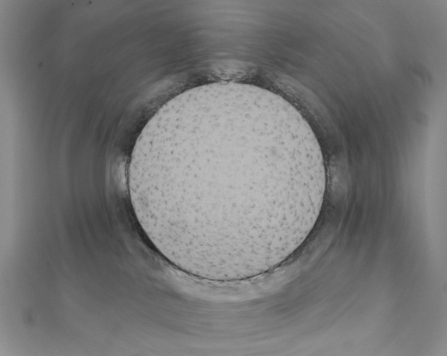 X0000111440042200908241153