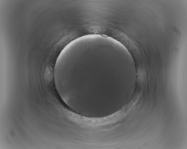 X0000111440043200908241153