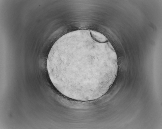 X0000111440044200908241153